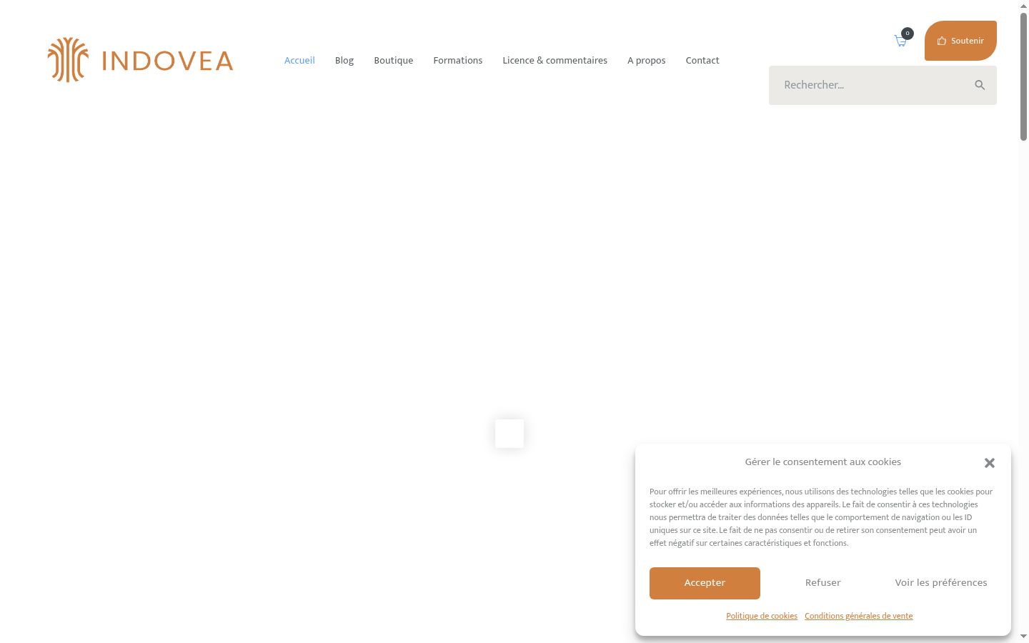 Screenshot del banner di consenso mostrato prima di qualsiasi interazione