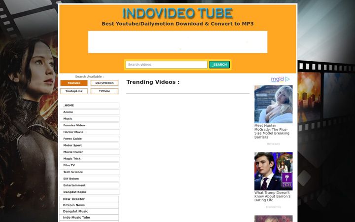 Screenshot of indovideotube.com