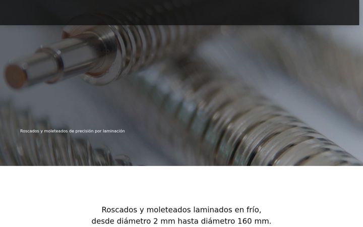 Screenshot of industriaslojan.com