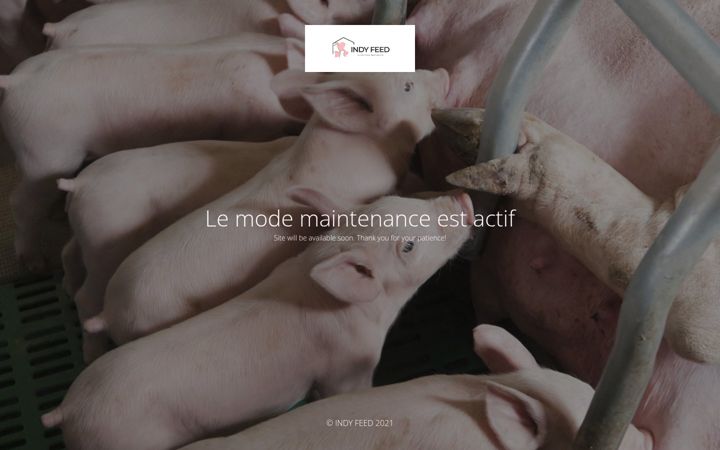 Screenshot of indyfeed.fr