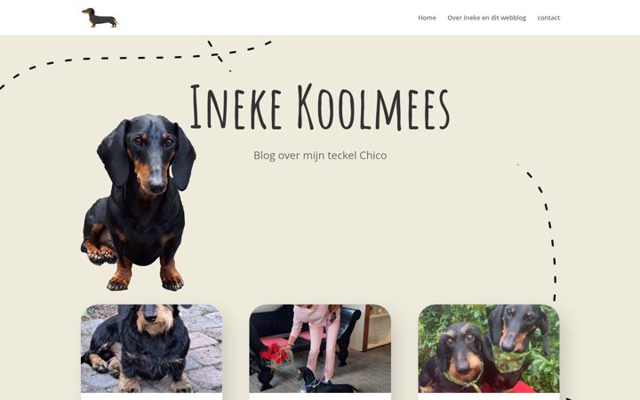 Screenshot of inekekoolmees.nl