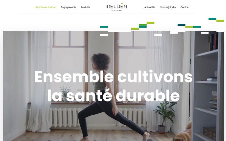 Screenshot of ineldea.com