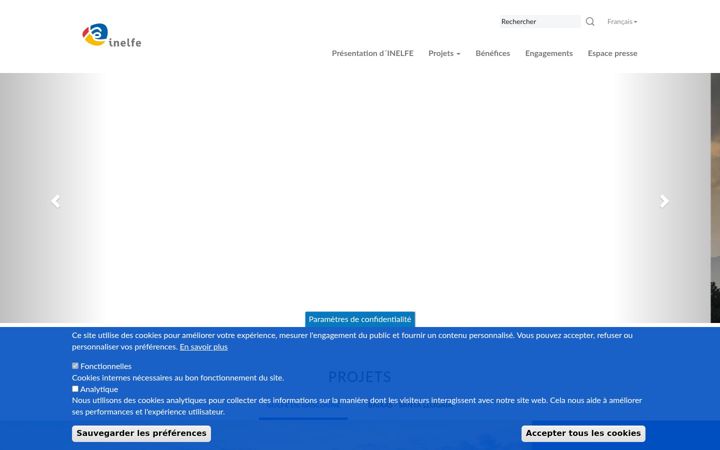 Screenshot of inelfe.eu