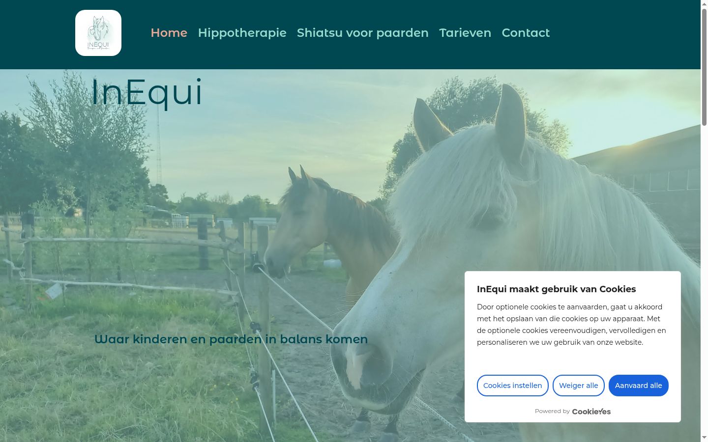 Screenshot des Einwilligungsbanners vor jeglicher Interaktion