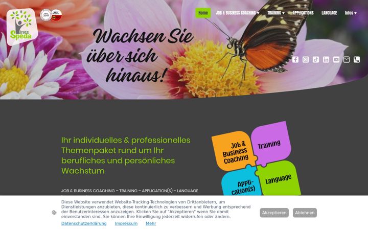 Screenshot of ines-speda.de