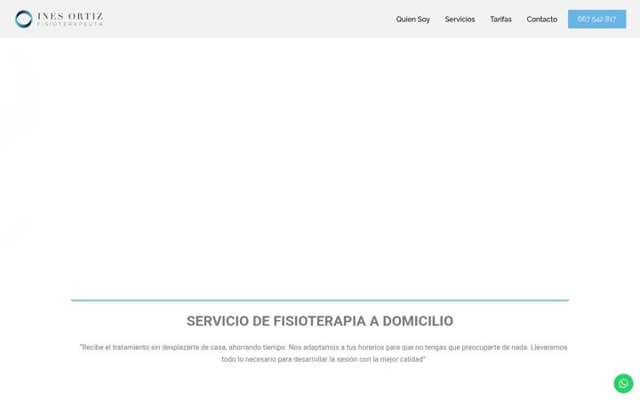 Screenshot of inesfisio.com