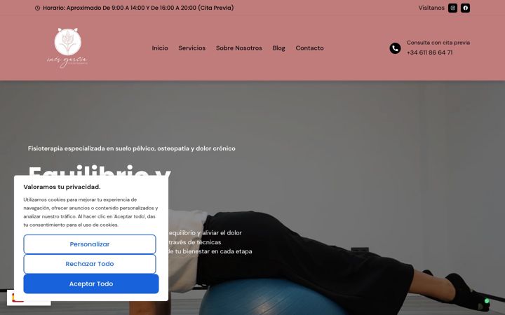 Screenshot of inesfisioterapia.com
