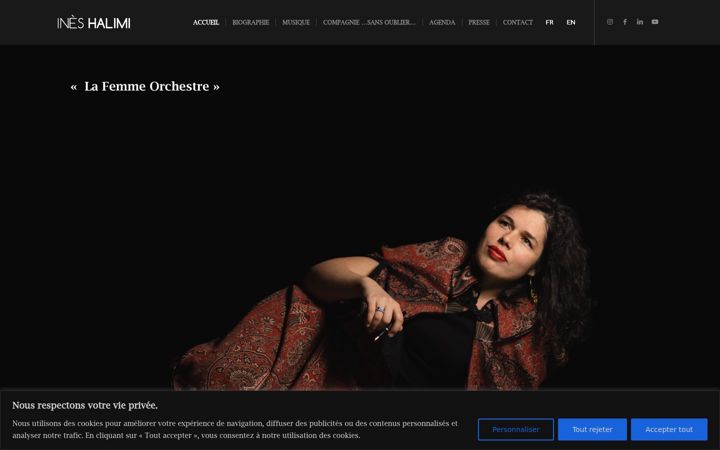 Screenshot of ineshalimi.ch