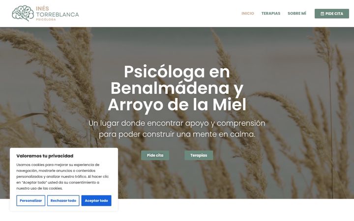Screenshot of inespsicologia.com