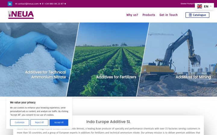Screenshot of ineua.com