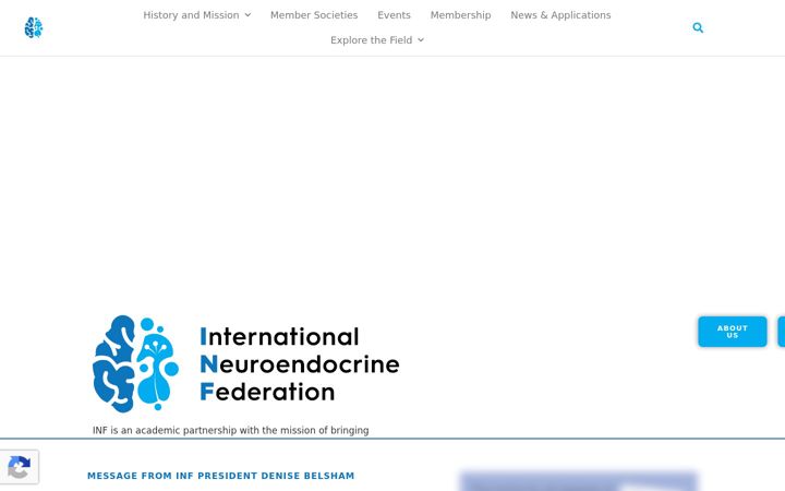 Screenshot of inf-neuroendocrinology.org