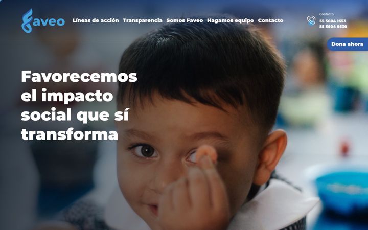 Screenshot of infanciamexico.org