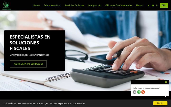 Screenshot of infantesmultiservices.com
