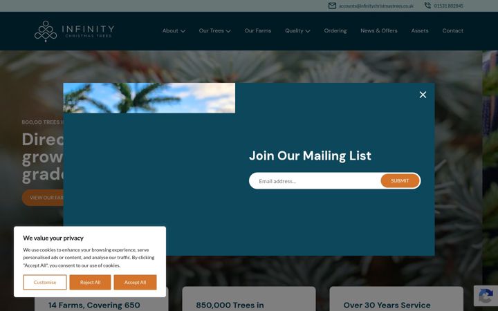Screenshot of infinitychristmastrees.co.uk