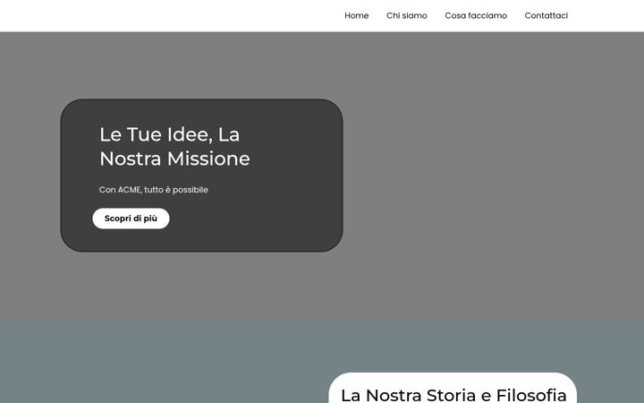 Screenshot of info-acme.com