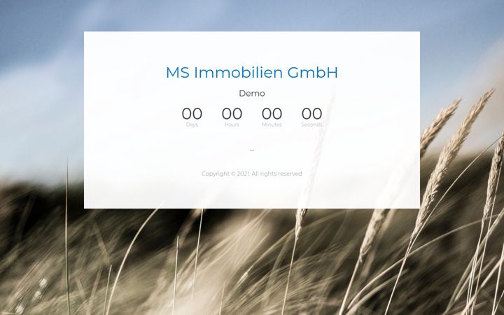 Screenshot of info-msimmobilien.de