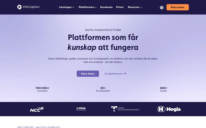 Screenshot of infocaption.com