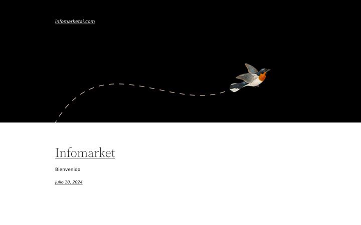 Screenshot of infomarketai.com