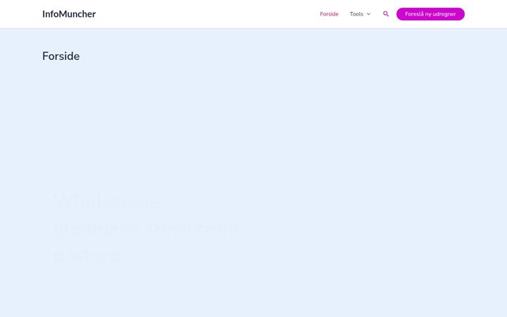 Screenshot of infomuncher.com