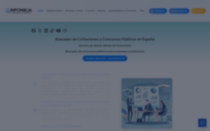 Screenshot of infonalia.es