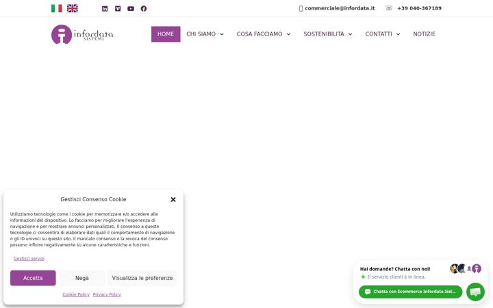 Screenshot of infordata.it