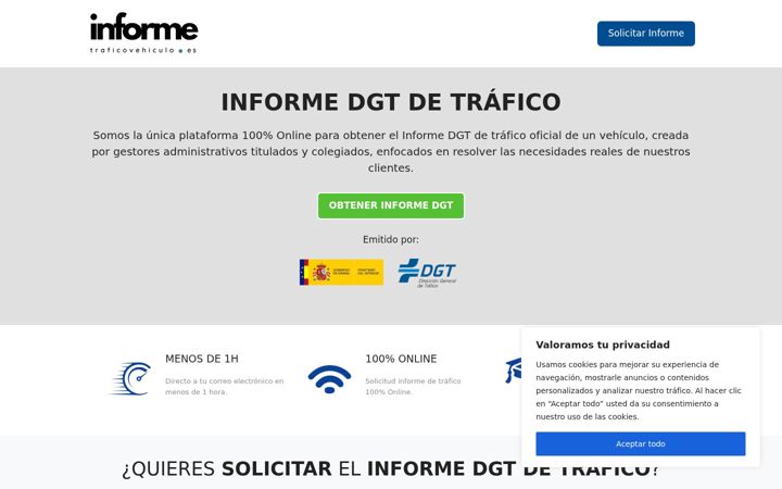 Screenshot of informetraficovehiculo.es