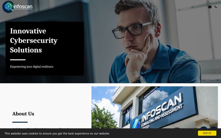 Screenshot of infoscanconsulting.com
