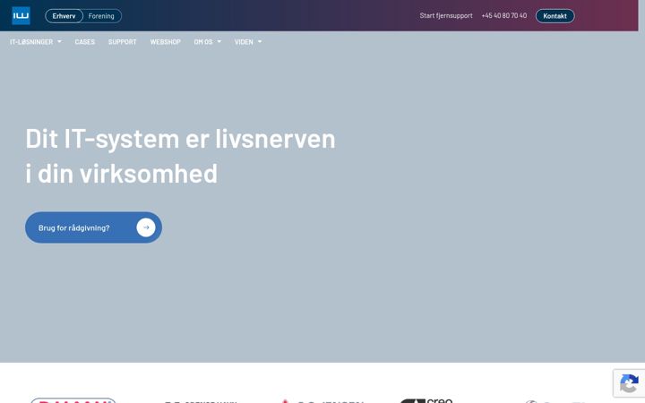 Snímek obrazovky infowise.dk