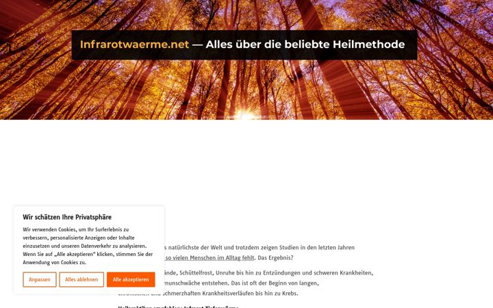 Screenshot of infrarotwaerme.net