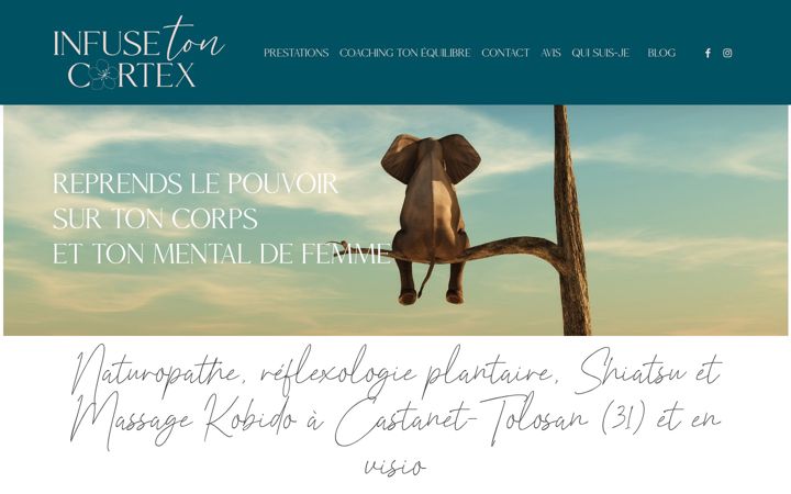 Screenshot of infusetoncortex.fr