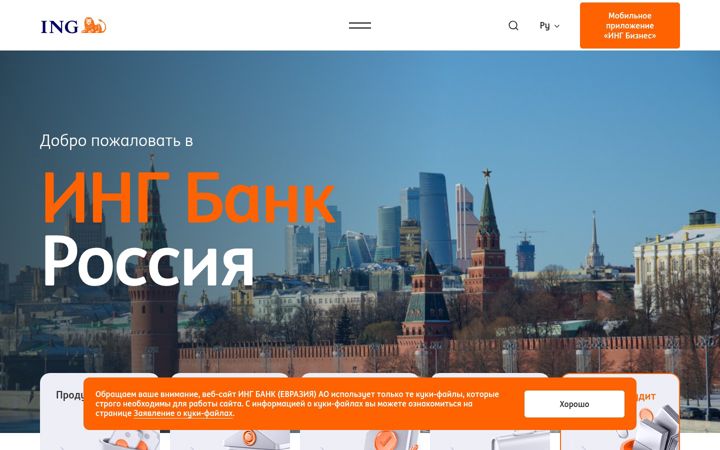 Screenshot of ing.ru