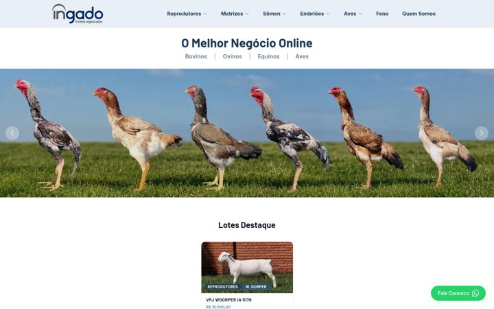 Screenshot of ingado.com.br