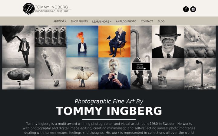Screenshot of ingberg.com