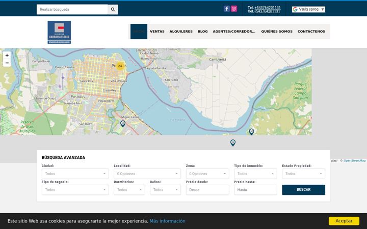 Screenshot of ingcarraffaflores.com