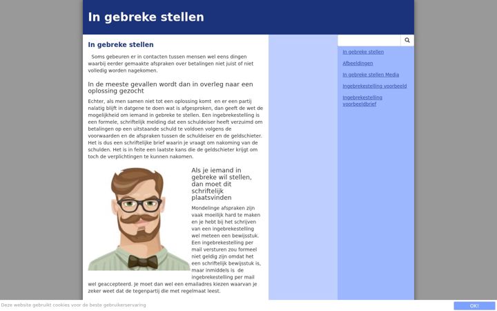 Screenshot of ingebrekestellen.nl