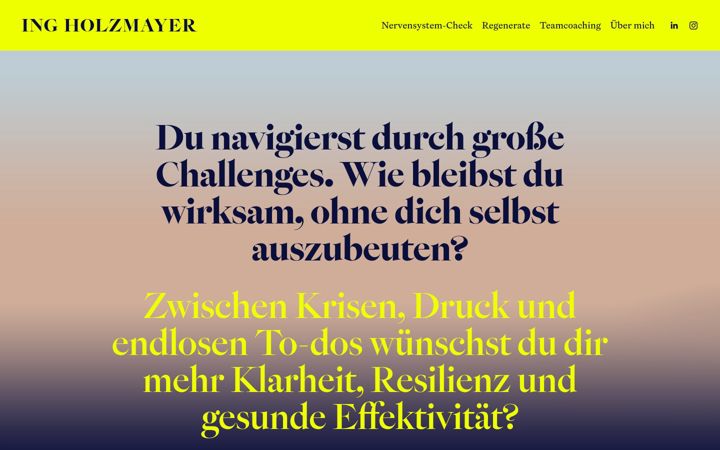 Screenshot of ingholzmayer.com