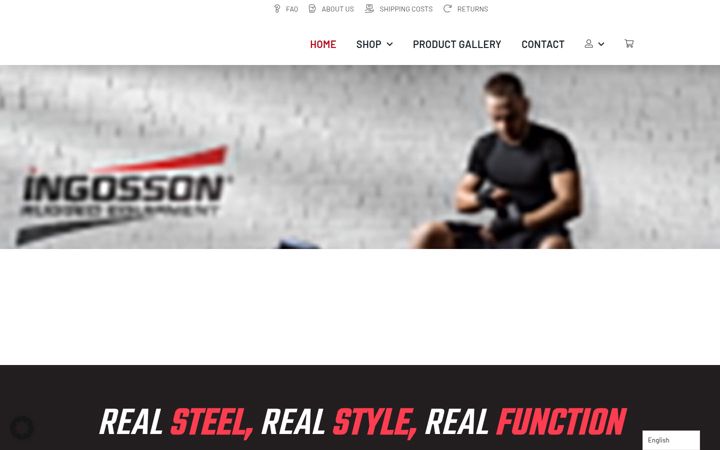 Screenshot of ingosson.com