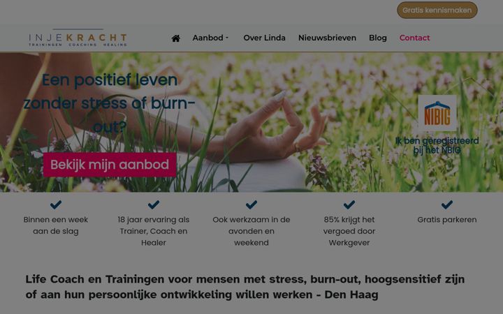 Screenshot of injekracht.com