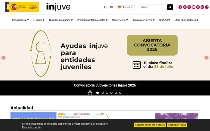 Screenshot of injuve.es