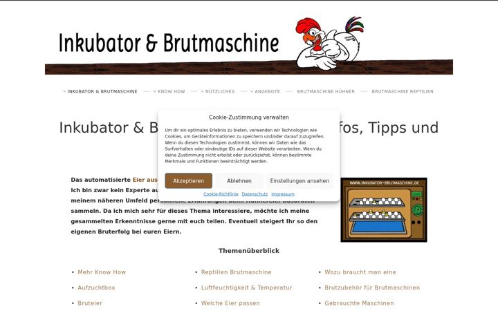 Screenshot of inkubator-brutmaschine.de