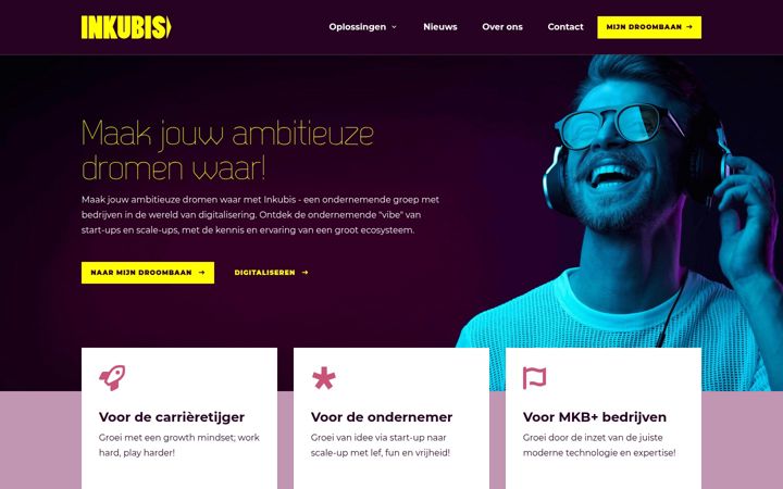 Screenshot of inkubis.eu