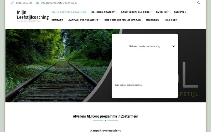 Screenshot of inlijnleefstijlcoaching.nl