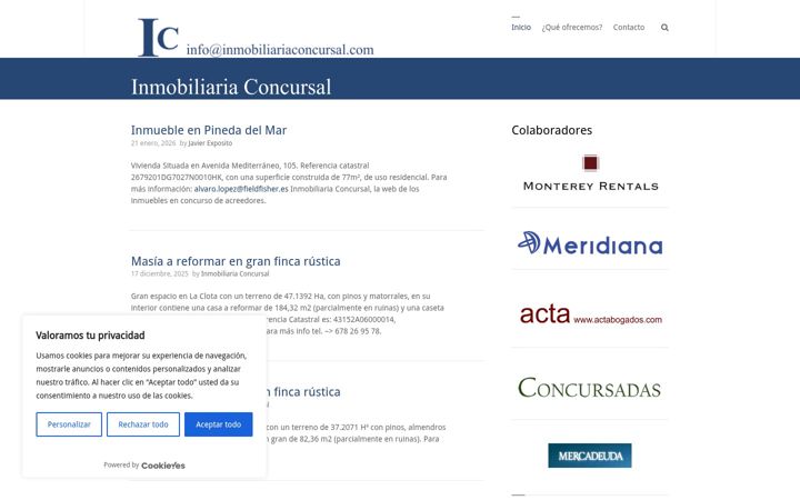 Screenshot of inmobiliariaconcursal.com