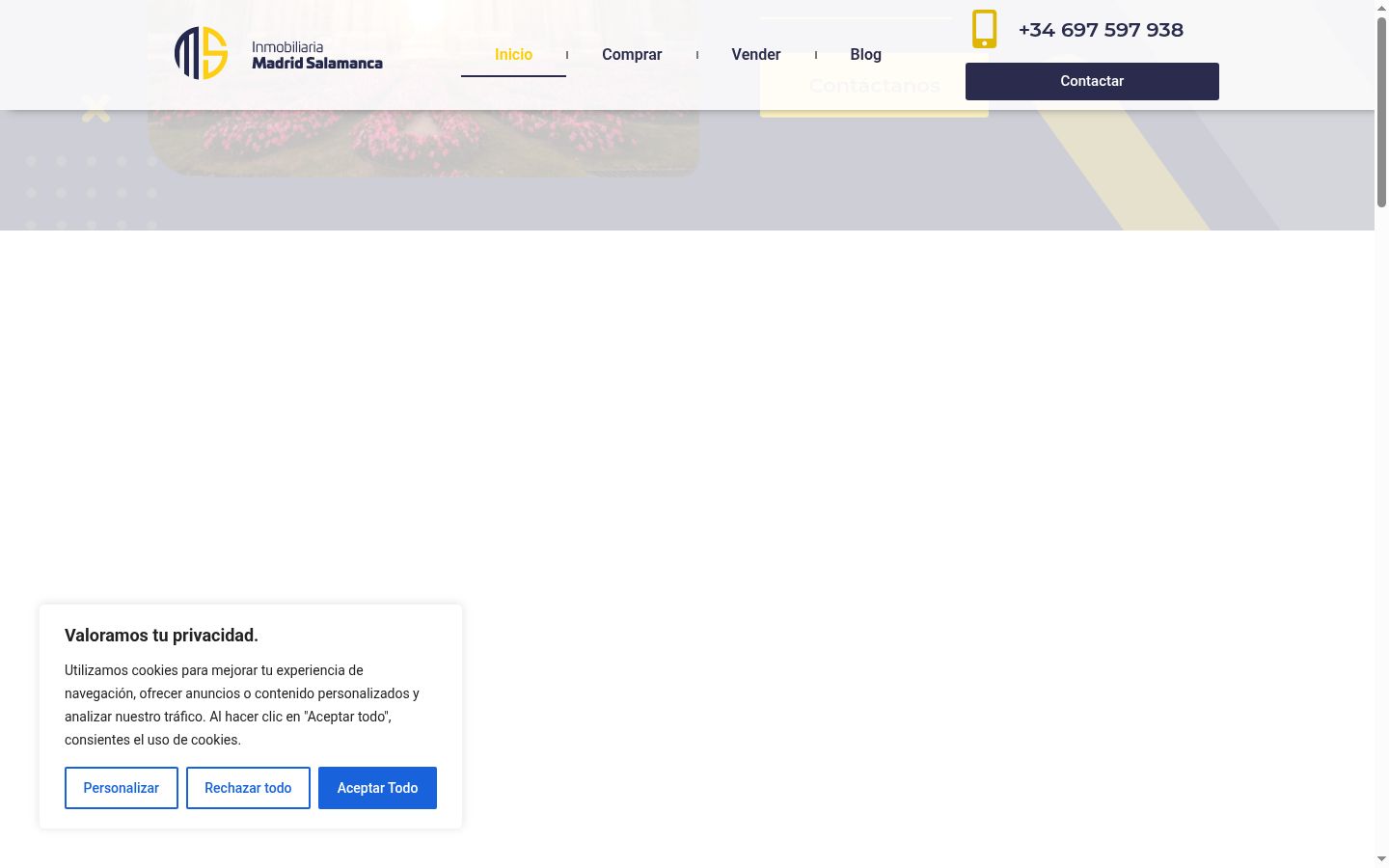 Screenshot of the consent banner shown before any interaction