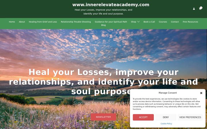 Screenshot of innerelevateacademy.com