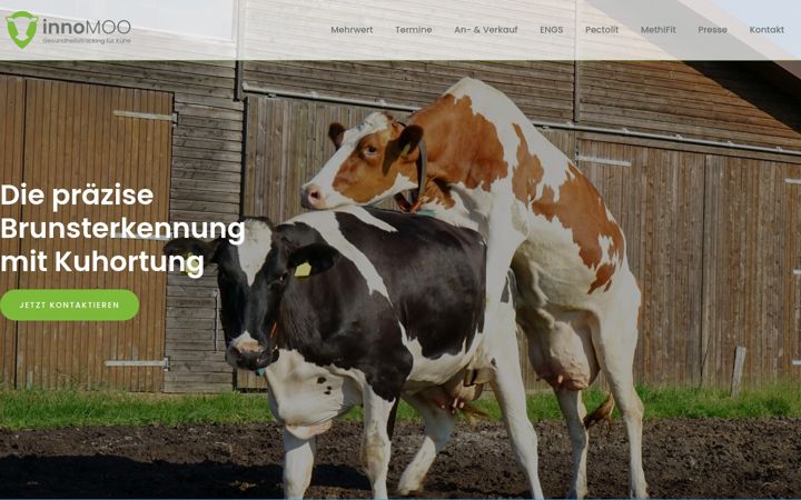 Screenshot van innomoo.de