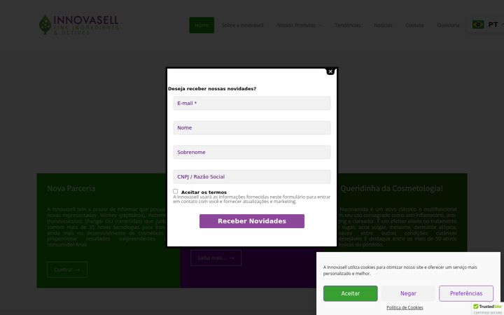 Screenshot of innovasell.com.br