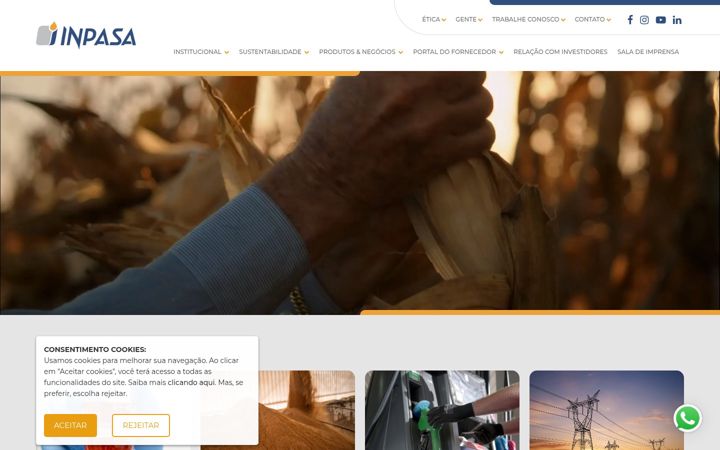 Screenshot of inpasa.com.br