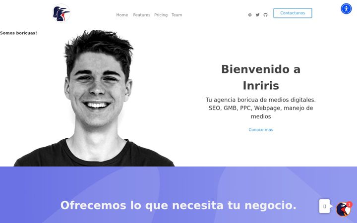 Screenshot of inriris.com