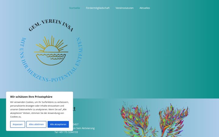 Screenshot of insa-fairein.com